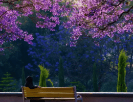 Destinasi Wisata Arab Saudi