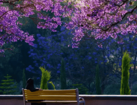 Destinasi Wisata Arab Saudi