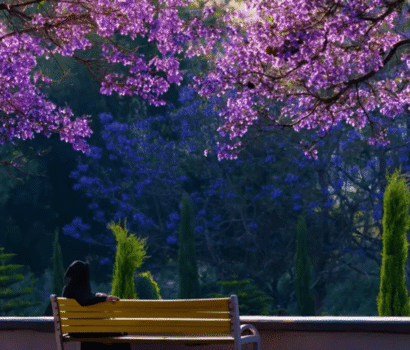 Destinasi Wisata Arab Saudi