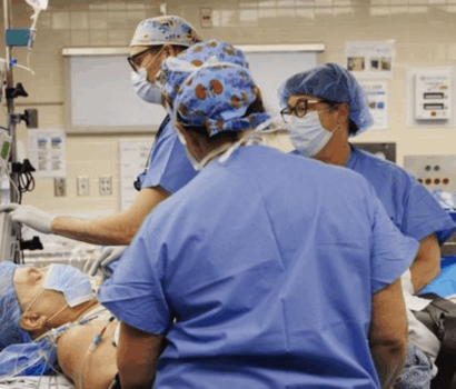 Transplantasi ginjal babi