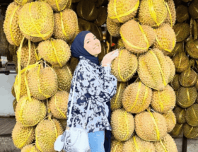 Tya Ariestya Juragan Kos