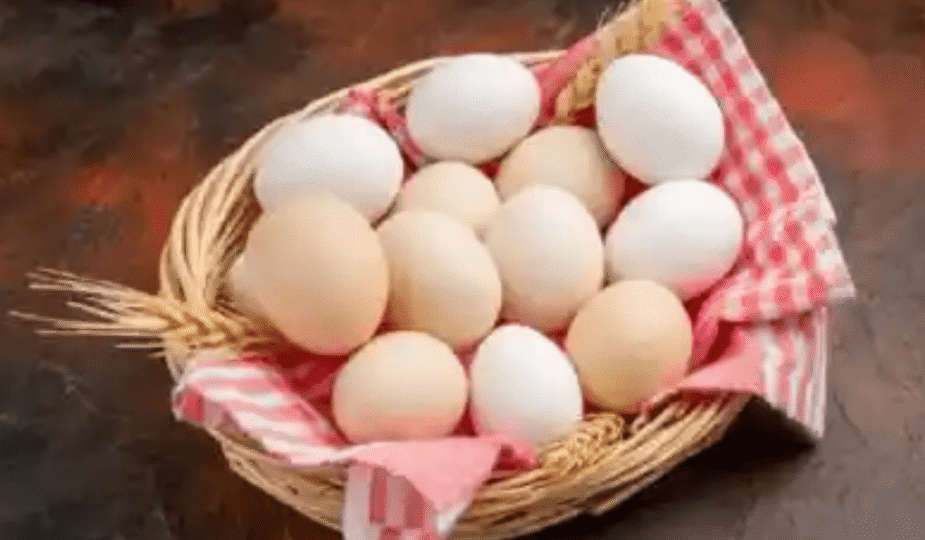 Makanan Kaya Vitamin B12