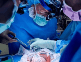 Cara Ilmuwan Modifikasi