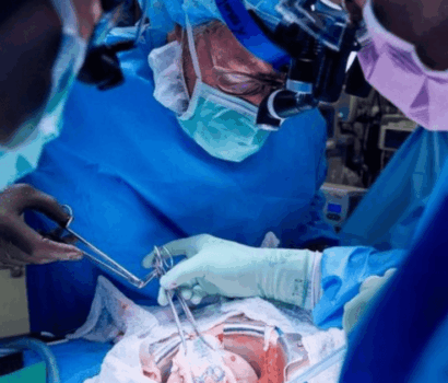 Cara Ilmuwan Modifikasi