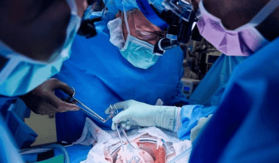 Cara Ilmuwan Modifikasi